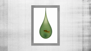 Les doigts de Saint-Jean